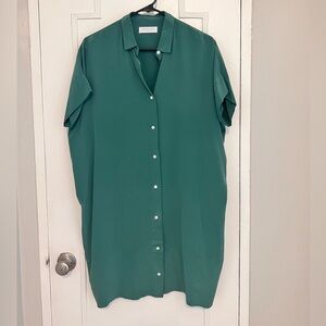 Everlane oversized silk shirt-dress!